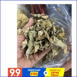 Cây lá hen khô 1KG (Cây bồng bồng)