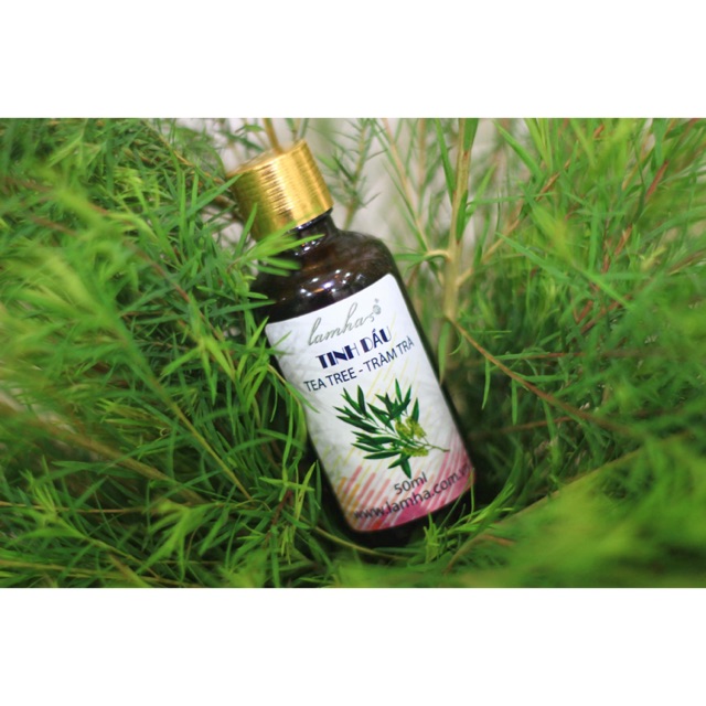Tinh dầu TRÀM TRÀ