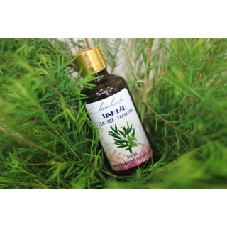 Tinh dầu TRÀM TRÀ