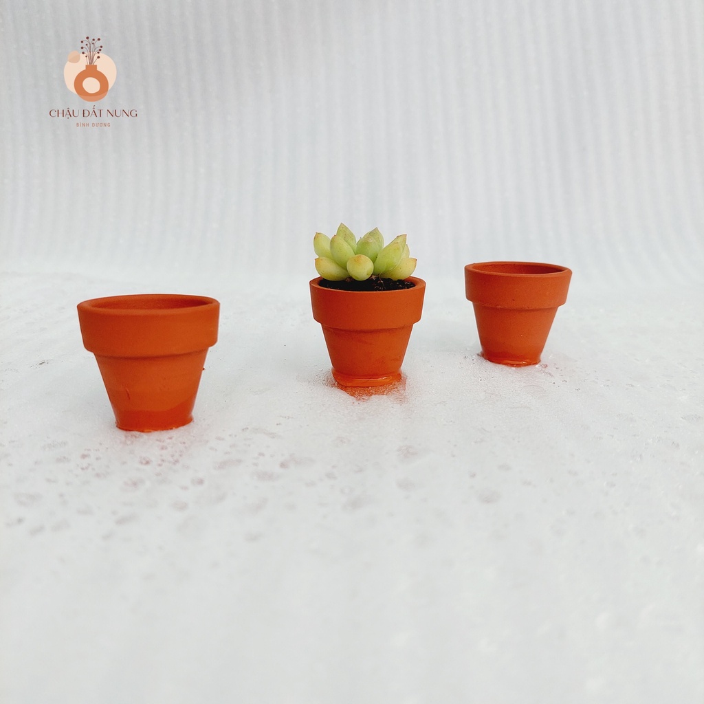 Chậu đất nung, Chậu sen đá - Ly gờ, miệng chậu 3.5cm, chiều cao 3.5cm