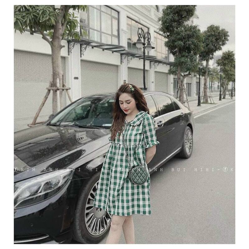 Váy kẻ thêu quả dứa cổ bẻ dáng babydoll fom rộng | BigBuy360 - bigbuy360.vn