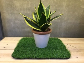 [ SHOP 2516 ] CỎ NHÂN TẠO TRANG TRÍ ( KHỔ 25CM X 25CM )