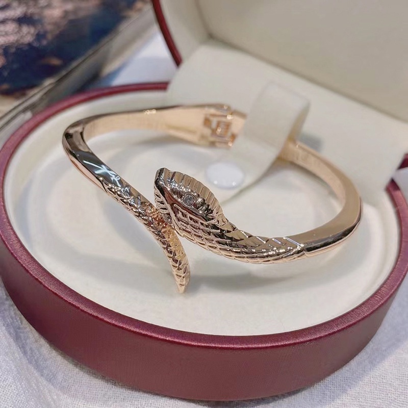 Vòng Tay Xương Rắn Kim Loại Mạ Vàng Thời Trang Dành Cho Nam Và Nữ