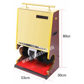Máy đánh giầy G1
