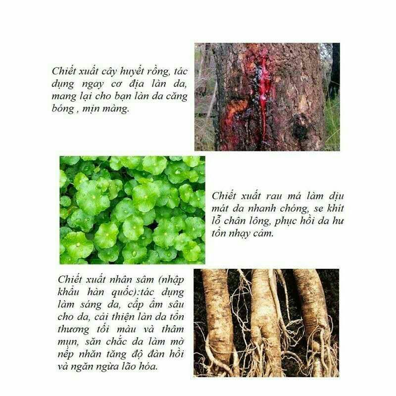 MẶT NẠ NHÂN SÂM HÀN QUỐC EANHOO CẤP TRẮNG, GIẢI CỨU LÀN DA | BigBuy360 - bigbuy360.vn