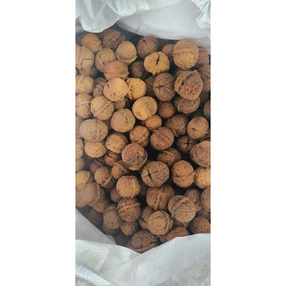 Hạt Óc chó nếp (Đặc sản Tây Bắc) 500g - 1kg