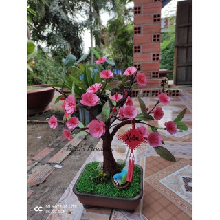 SET LÀM HOA MAI/ĐÀO BẰNG GIẤY 🌸🌸🌸