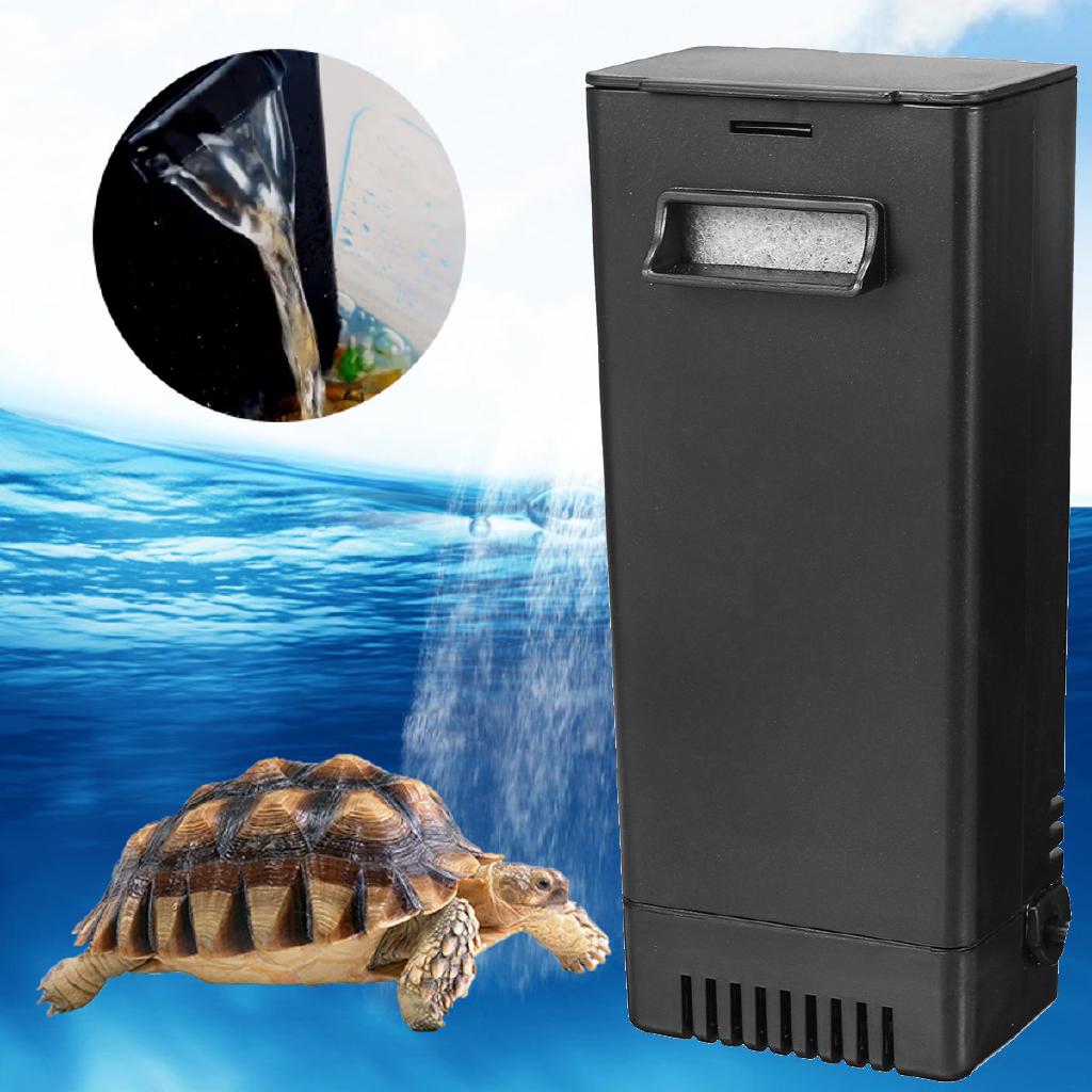 Thiết bị lọc nước cho bể cá cảnh