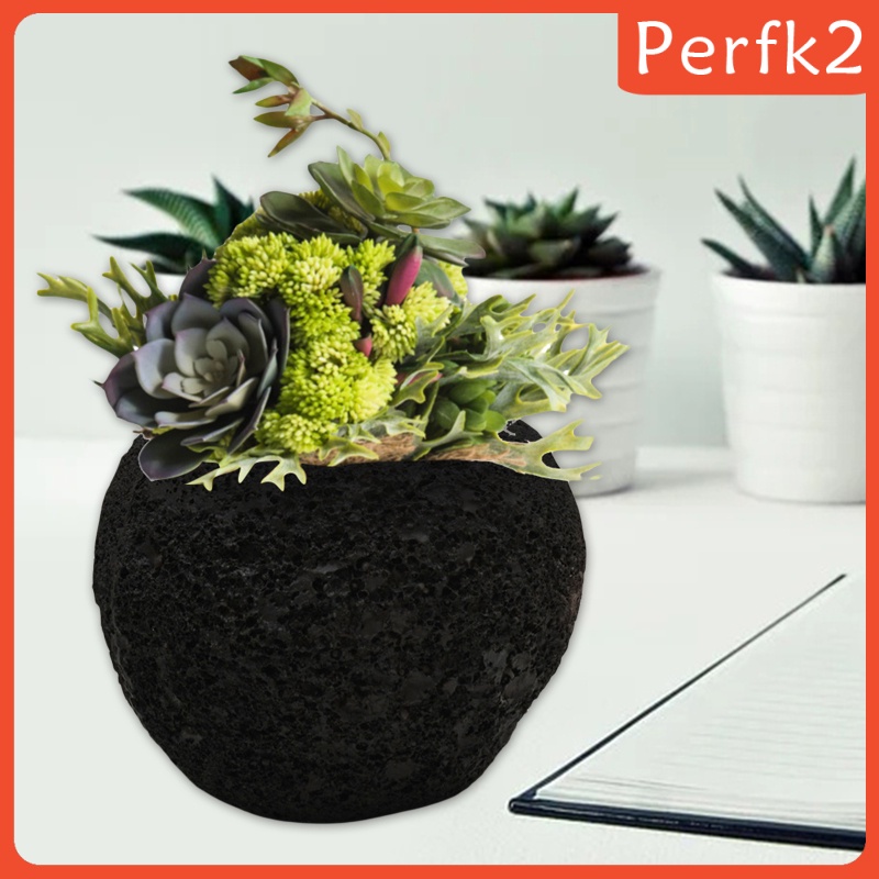 Cute Succulent Plant Flower Pot Garden Flowerpot Office Desk Decor