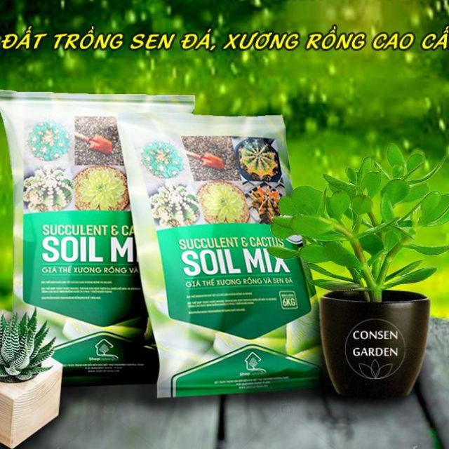 Đất Trồng Sen Đá, XR Soil Mix Túi 6 Kg