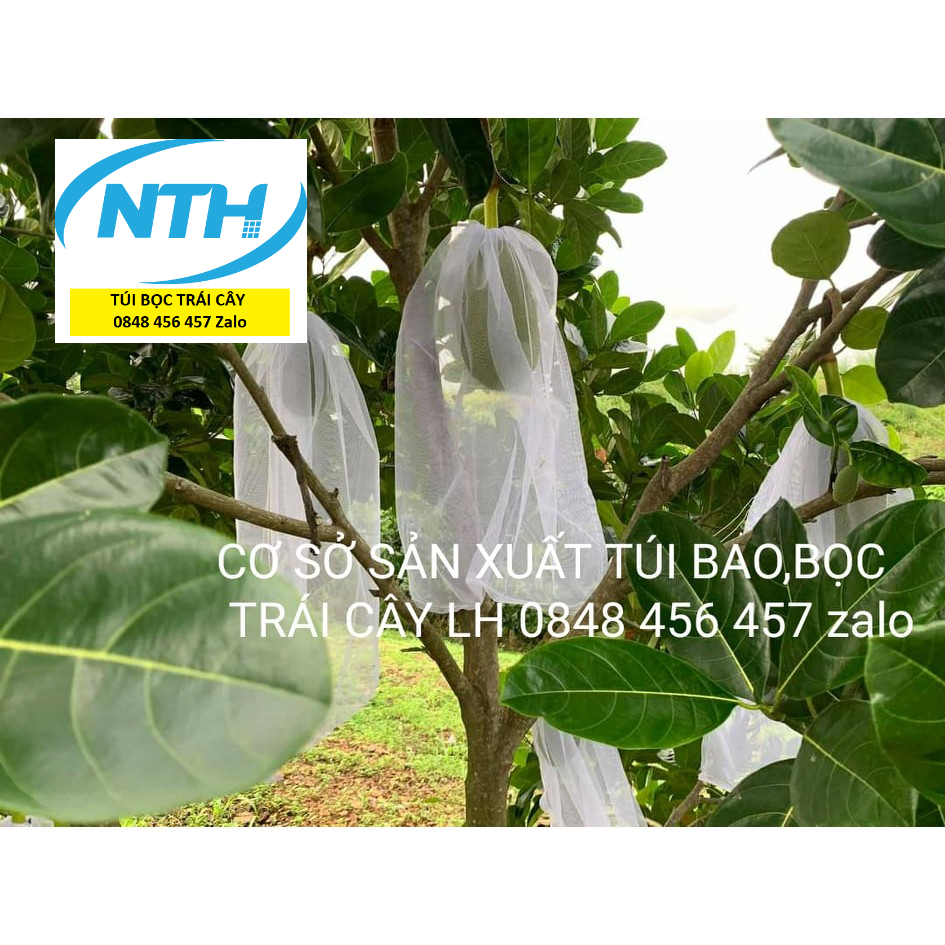 2,x00₫ [50*70cm] 100 TÚI BỌC  MÍT THÁI LOẠI 50* 70 LƯỚI TỐT -TÚI BỌC TRÁI CÂY