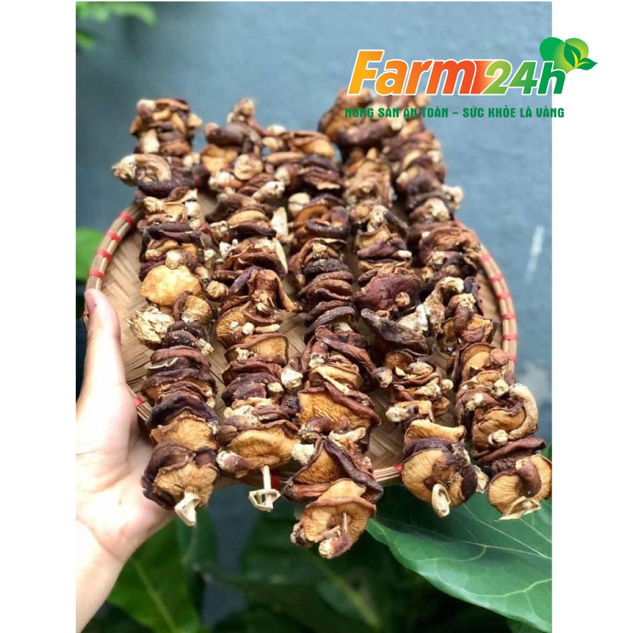 Nấm hương rừng Sapa, đặc sản Tây Bắc chuẩn ngon, hàng loại 1, giàu dinh dưỡng | Farm24h
