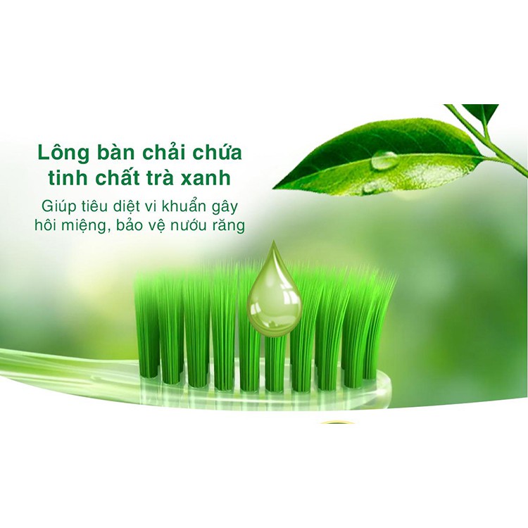 Bàn Chải Đánh Răng Oral-B Tinh Chất Trà Xanh Gum Care Green Tea (Vỉ 3)