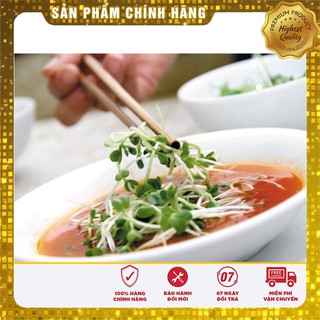 Hạt giống Rau mầm củ cải trắng (50gr)