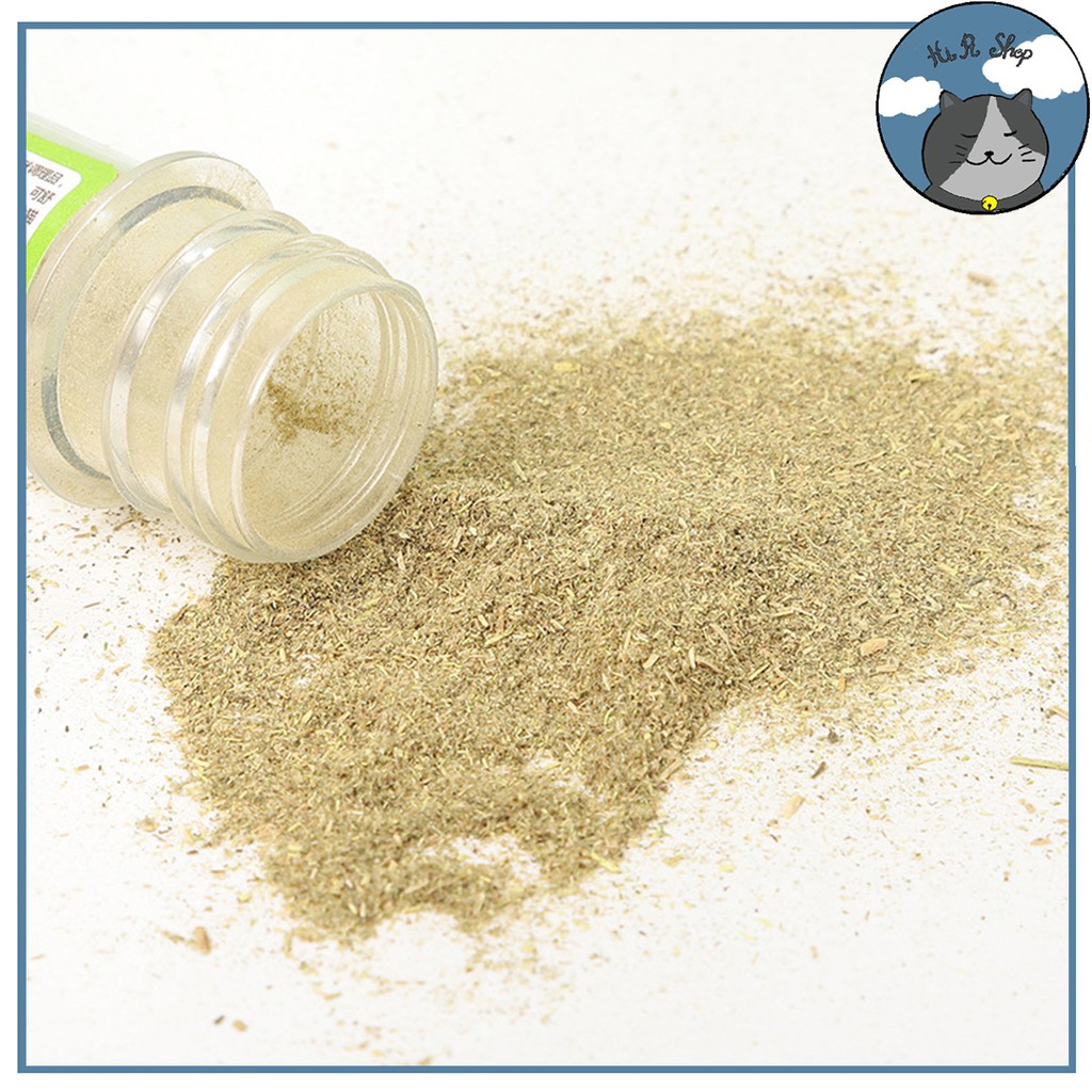 Cỏ Mèo (Catnip) Cho Mèo, Cỏ Bạc Hà Cho Mèo Giá Siêu Rẻ Dành Cho Thú Cưng Ống 10G