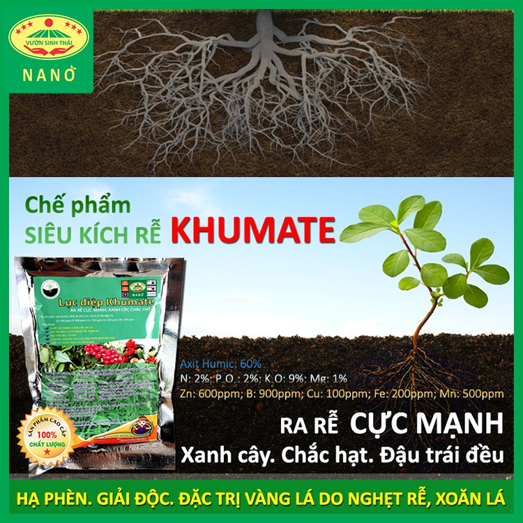 Chế phẩm sinh học SIÊU KÍCH RỄ - KHUMATE