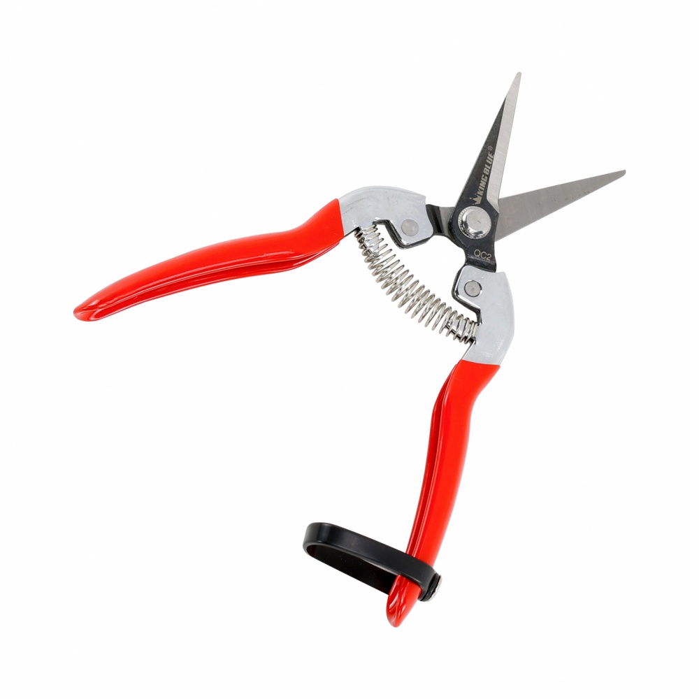 [CHÍNH HÃNG] Kéo cắt tỉa cây, cành King Blue