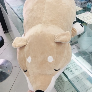 Gấu của Ngân Trịnh