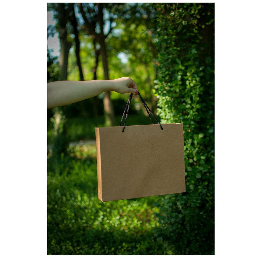 Túi quà giấy kraft quai đen dày chắc chắn Mua Tất