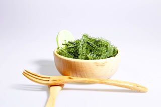 RONG NHO TRƯỜNG THỌ