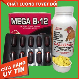 Combo galomin + mega b12 cự mạnh, hừng nước m.á.u, đá bo lớn