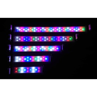 Đèn led 3 chế độ màu gác thành bể cá, bể thủy sinh 50cm, 60cm