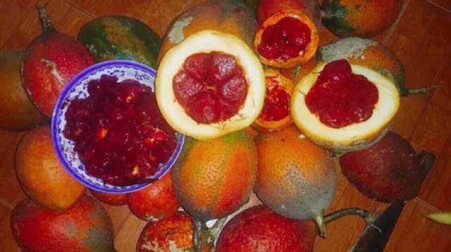 Tinh dầu gấc lọ 100ml nhà làm thơm ngon bổ dưỡng | BigBuy360 - bigbuy360.vn