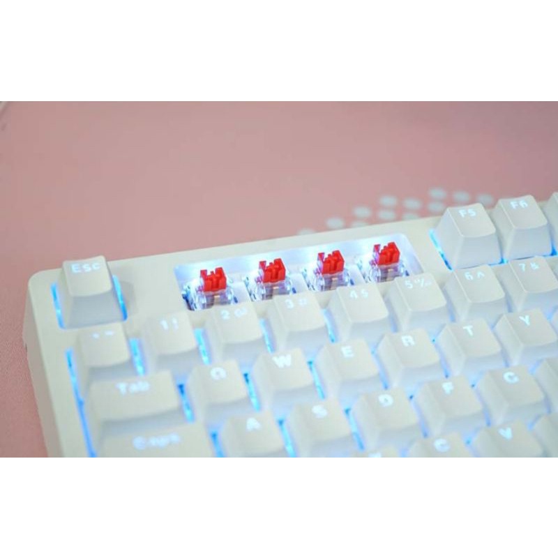 Bàn phím cơ gaming màu trắng DareU EK87 White Red Switch 87 Phím