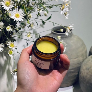 THẠCH NGHỆ TRÀM TRÀ MỚI