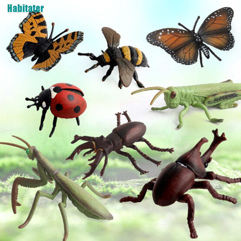 [Habitater] Mô Hình Côn Trùng / Bọ Cánh Cứng / Nhện / Ong Mật