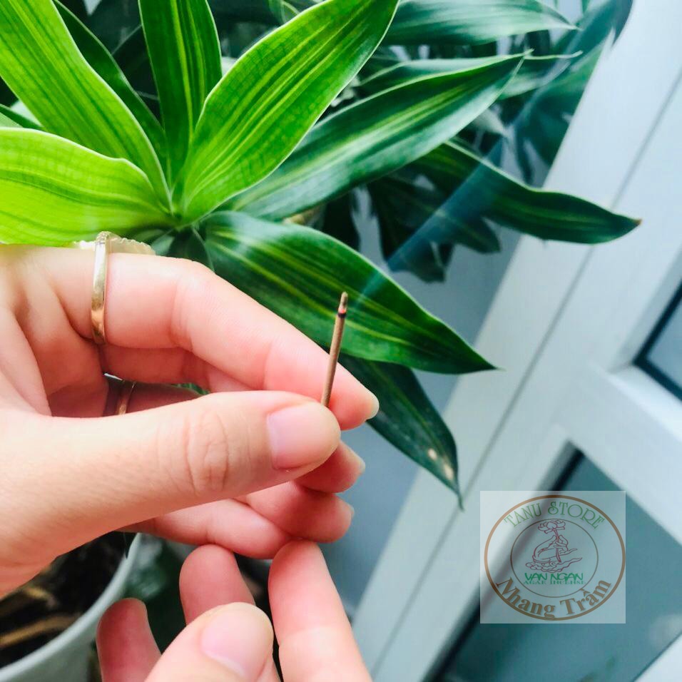 NHANG KHÔNG TĂM TRẦM HƯƠNG NHA TRANG- THƠM SÂU LẮNG, THOẢNG XA, CHUẨN TRẦM 100%- TANU STORE