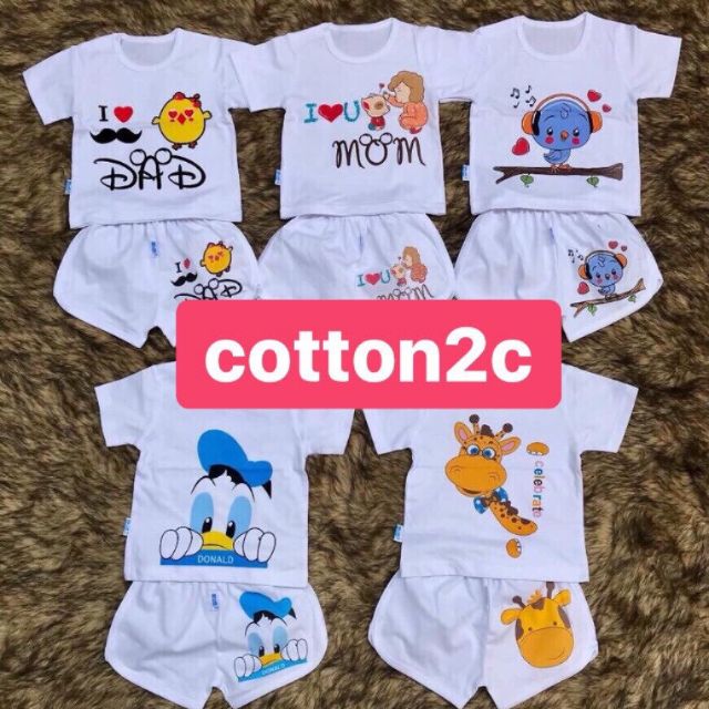 Compo 10 bộ cộc
