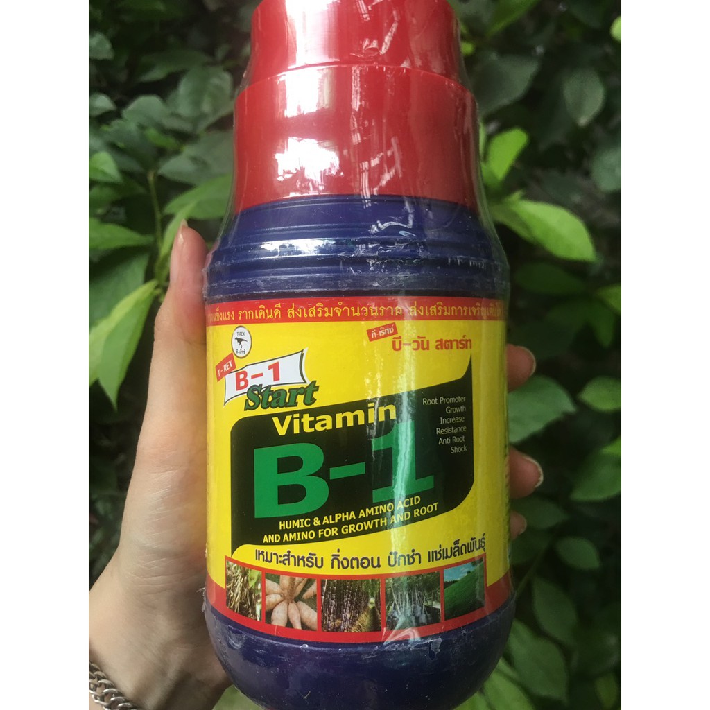 [NGUYÊN CHAI] Vitamin B1 (Chai 500ml)