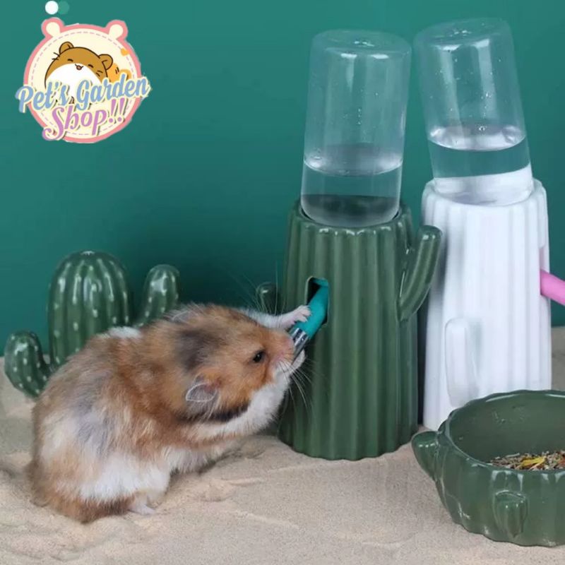 Đế nước sứ hình xương rồng cho hamster