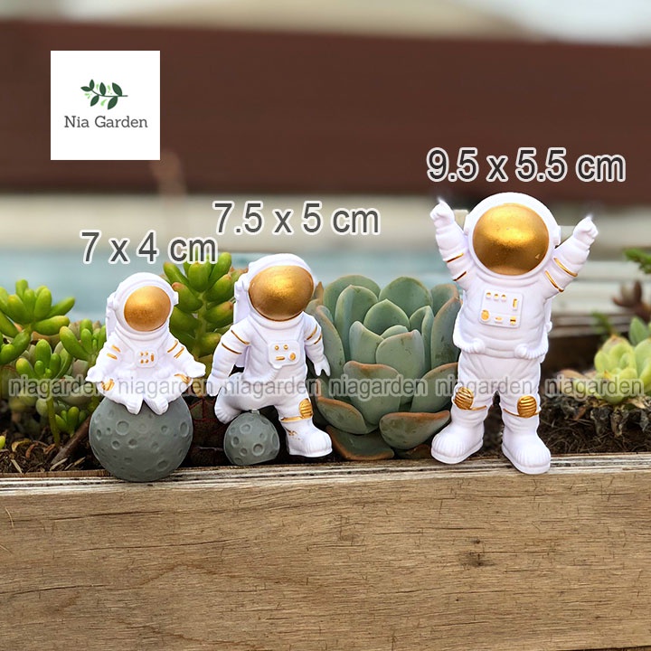 Trang trí tiểu cảnh chậu cây vườn terrarium bể cá bàn học bàn làm việc taplo mô hình mini Nia Garden N5