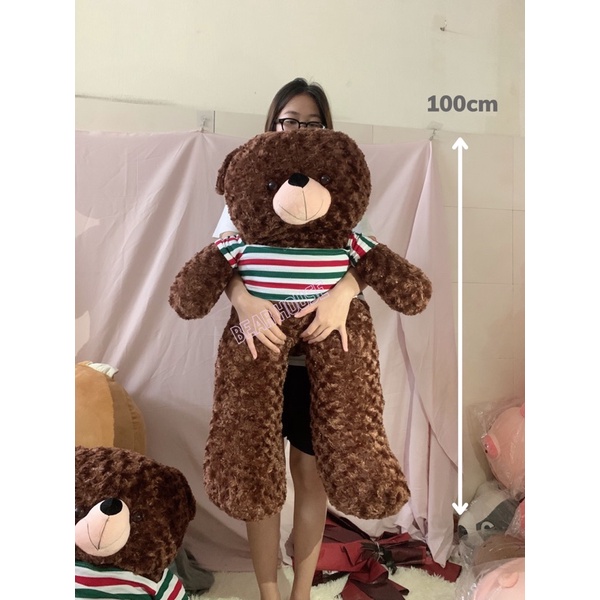 GẤU BÔNG TEDDY LÔNG XOẮN CAO CẤP SIZE 1m, 1m2 hàng VNXK