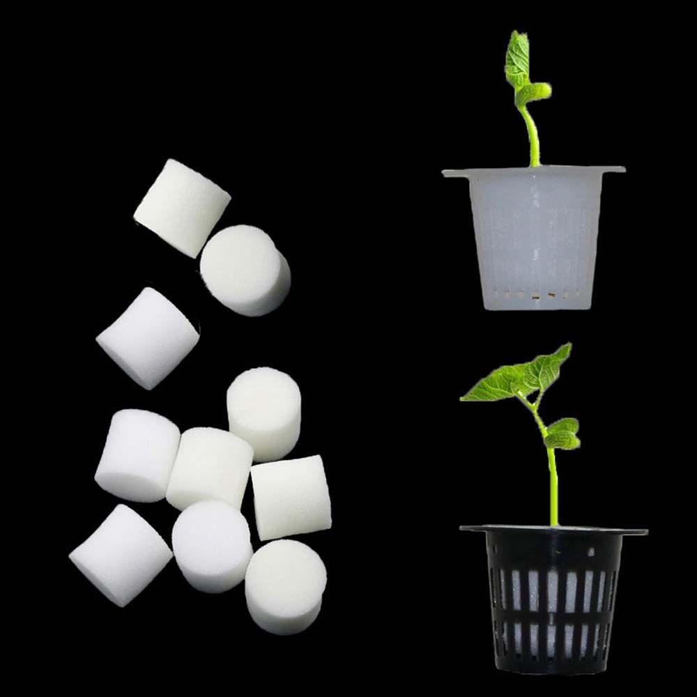 Mút Xốp Trồng Cây Không Gây Hại Tự Nhiên