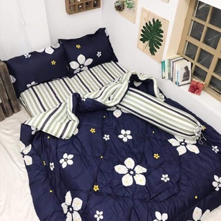 set phao poly nhập