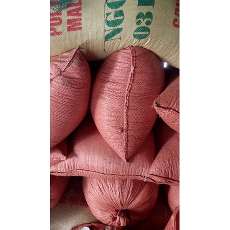 Hạt giống lúa nếp nương túi 500g