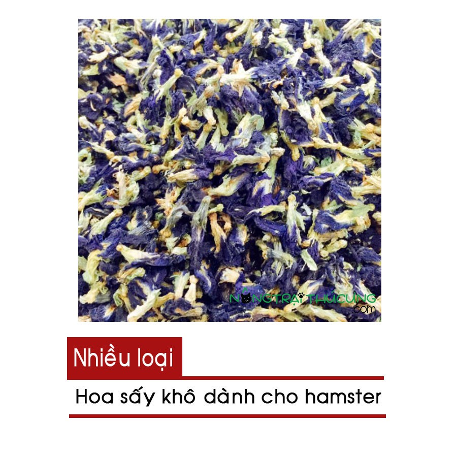 Hoa sấy khô dành cho Hamster - [Nông trại thú cưng]