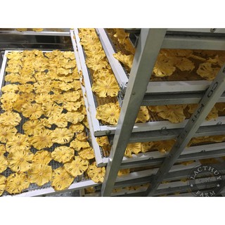 Dứa Sấy Khô 100g