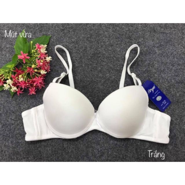 Áo Boya trơn mút vừa có gọng 024TW