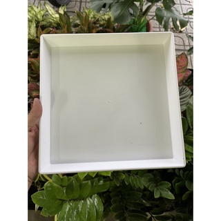 Dĩa nhựa vuông lót chậu, dĩa lót chậu, dĩa vuông nhựa nhiều size