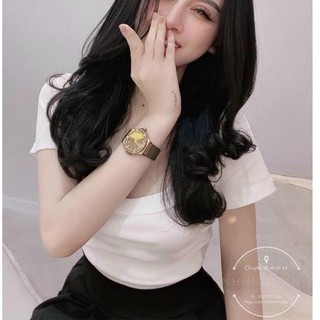 ÁO CỔ U VIỀN TO