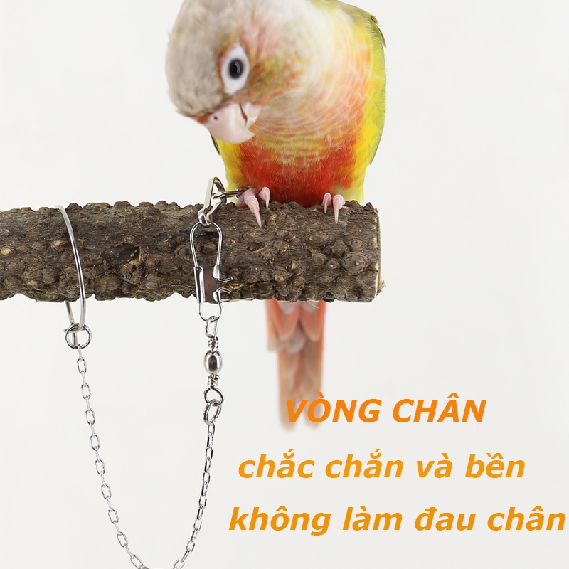 6mm  Vòng Chân Chim-Vòng Đeo Chân Có Chống Lạc Tiện Dụng Cho Thứ Cưng Chim Vẹt