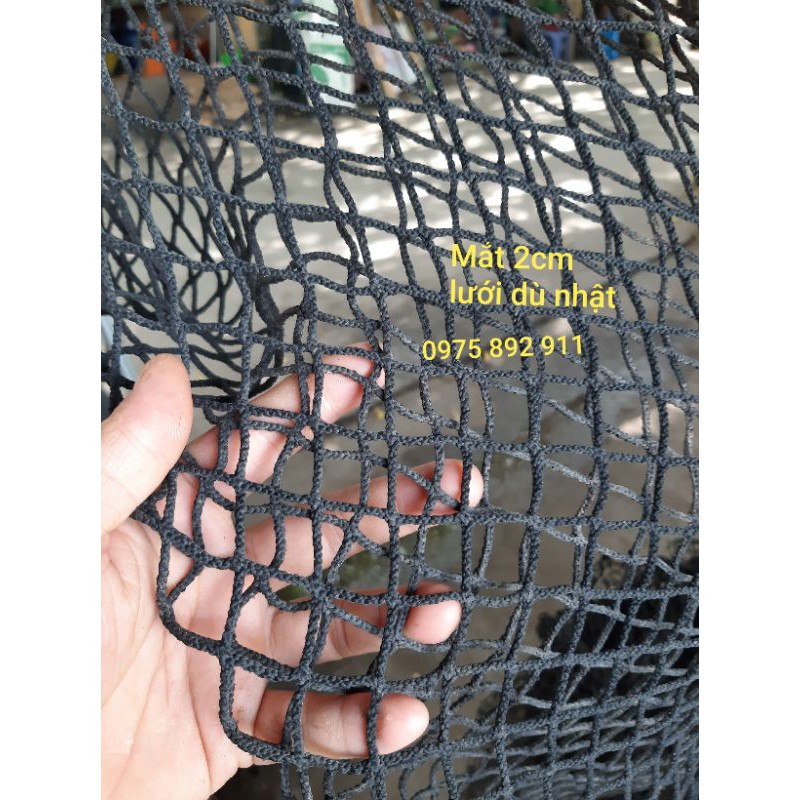 DỚN BẪY CÁ - ĐĂNG CHẶN AO HỒ SÔNG SUỐI