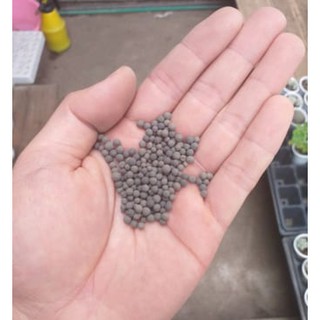 Phân nền bể cá gói 0,5 kg