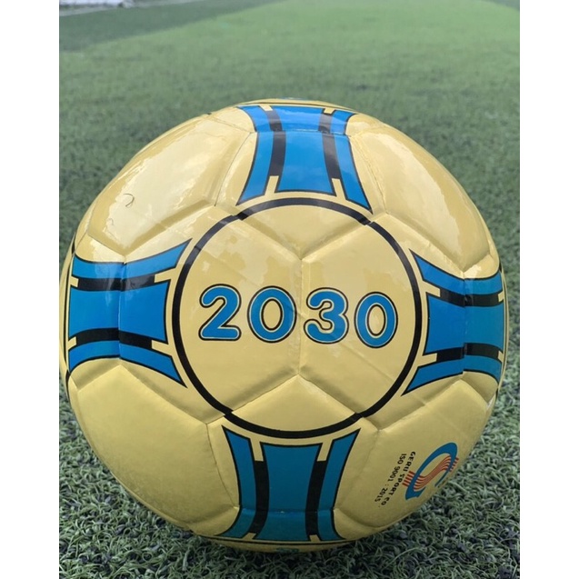 Quả bóng đá sân Futsal 2030 GERU STAR (tặng kim bơm và lưới)