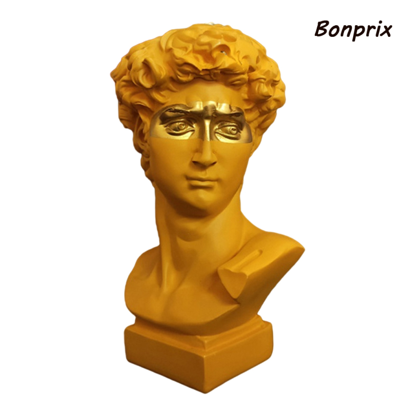 Chậu Hoa Chân Dung Trang Trí Nội Thất