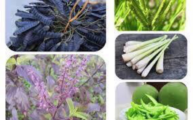 Túi lọc bồ kết Thương Vũ 1 bịch 20 gói gội đầu | BigBuy360 - bigbuy360.vn